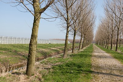 BUITEN BEELD Foto: 162443