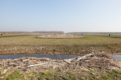 BUITEN BEELD Foto: 162445