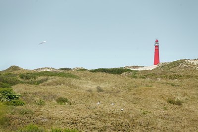 BUITEN BEELD Foto: 162452