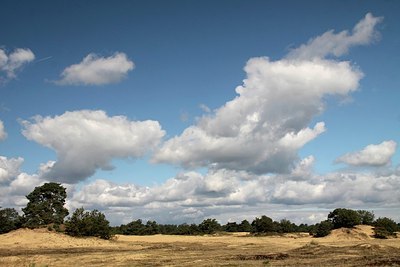 BUITEN BEELD Foto: 162480