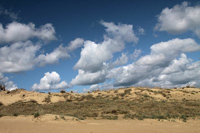 BUITEN BEELD Foto: 162481