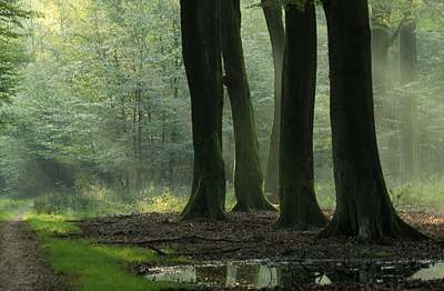 BUITEN BEELD Foto: 162486