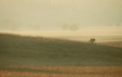 BUITEN BEELD Foto: 162497