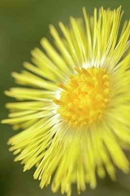 BUITEN BEELD Foto: 162502