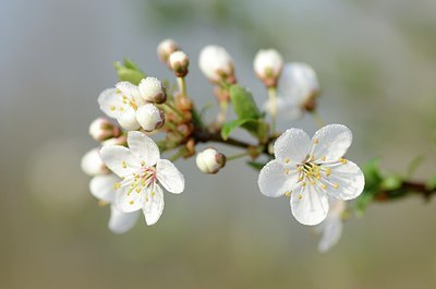 BUITEN BEELD Foto: 162552