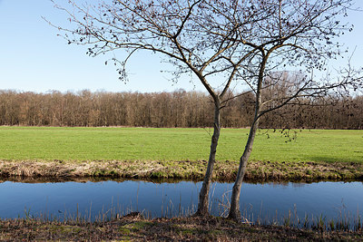 BUITEN BEELD Foto: 162585