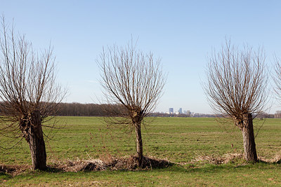 BUITEN BEELD Foto: 162589