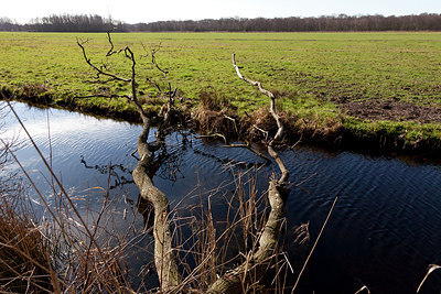 BUITEN BEELD Foto: 162591