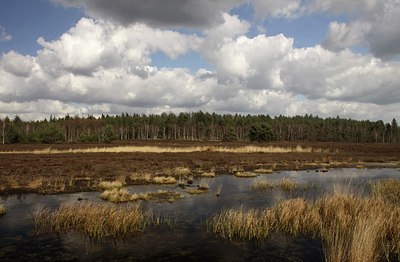 BUITEN BEELD Foto: 162628
