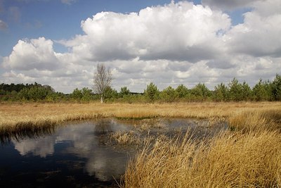 BUITEN BEELD Foto: 162630