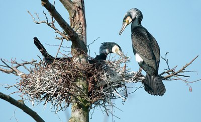 BUITEN BEELD Foto: 162649