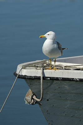 BUITEN BEELD Foto: 162657