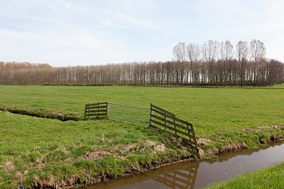 BUITEN BEELD Foto: 162663