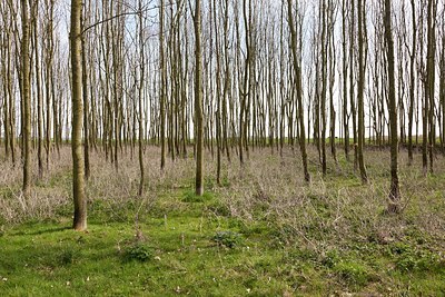 BUITEN BEELD Foto: 162668