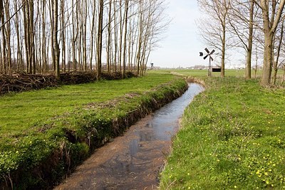BUITEN BEELD Foto: 162677