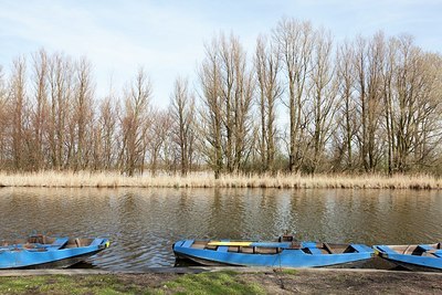 BUITEN BEELD Foto: 162680