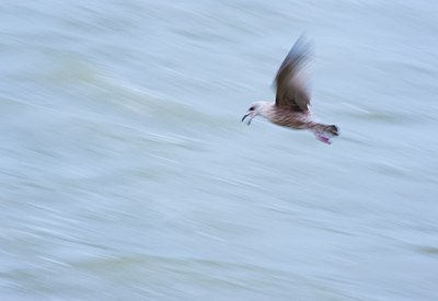 BUITEN BEELD Foto: 162737