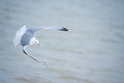BUITEN BEELD Foto: 162740