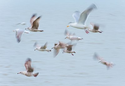 BUITEN BEELD Foto: 162742