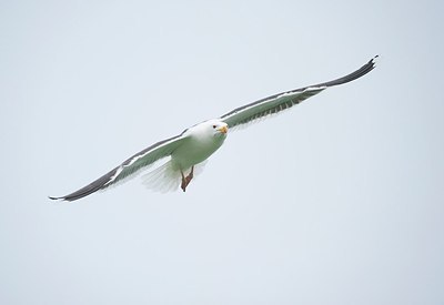 BUITEN BEELD Foto: 162744