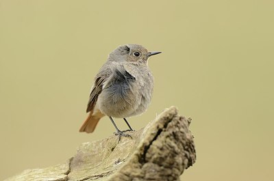 BUITEN BEELD Foto: 162754