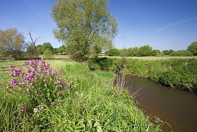 BUITEN BEELD Foto: 162783