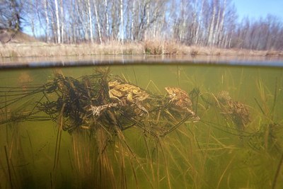 BUITEN BEELD Foto: 162825