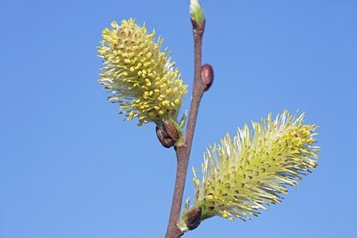 BUITEN BEELD Foto: 162826