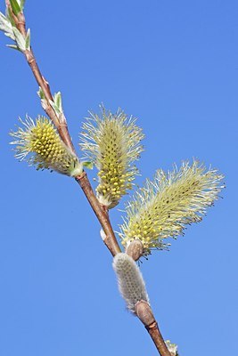 BUITEN BEELD Foto: 162830