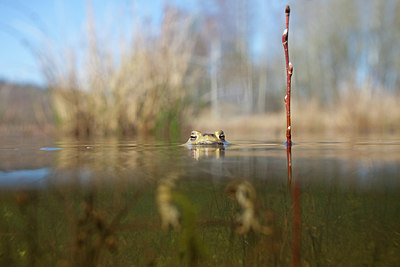 BUITEN BEELD Foto: 162831