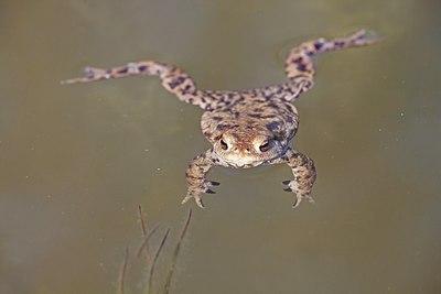 BUITEN BEELD Foto: 162839