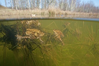 BUITEN BEELD Foto: 162860