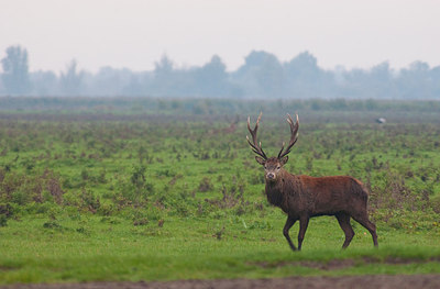 BUITEN BEELD Foto: 162871