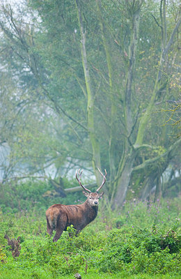 BUITEN BEELD Foto: 162872