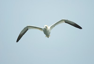 BUITEN BEELD Foto: 162879