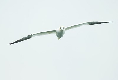 BUITEN BEELD Foto: 162881