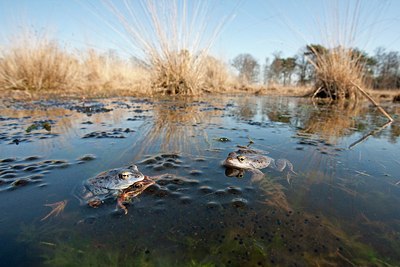 BUITEN BEELD Foto: 162904