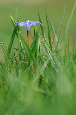 BUITEN BEELD Foto: 162929