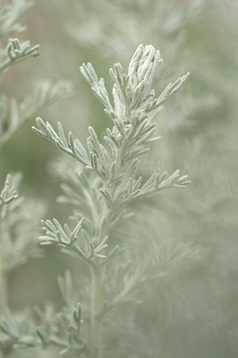 BUITEN BEELD Foto: 162941