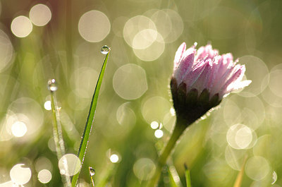 BUITEN BEELD Foto: 162957