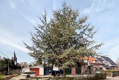 BUITEN BEELD Foto: 162961