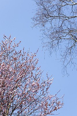 BUITEN BEELD Foto: 162964