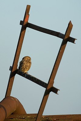 BUITEN BEELD Foto: 162994