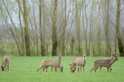 BUITEN BEELD Foto: 163023