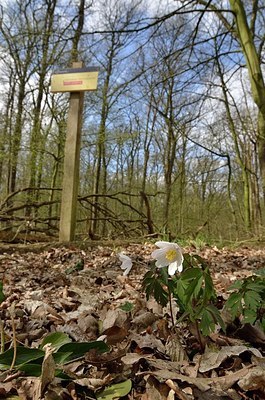 BUITEN BEELD Foto: 163024