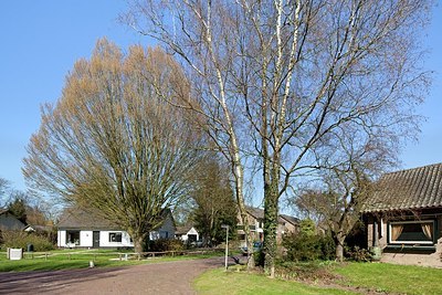 BUITEN BEELD Foto: 163101