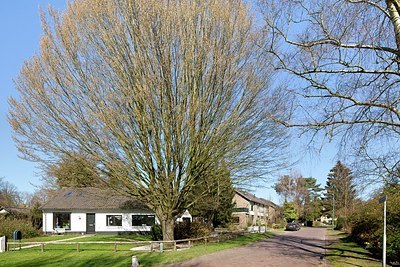 BUITEN BEELD Foto: 163105