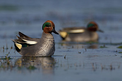 BUITEN BEELD Foto: 163108