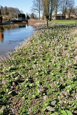 BUITEN BEELD Foto: 163109