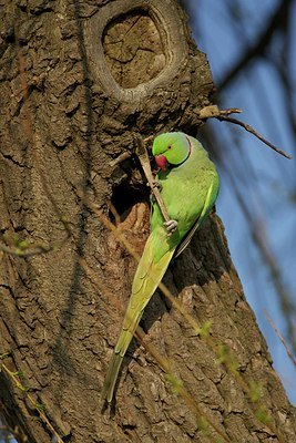 BUITEN BEELD Foto: 163312
